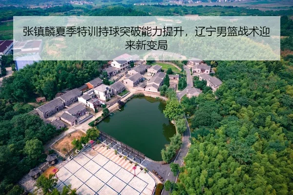 张镇麟夏季特训持球突破能力提升，辽宁男篮战术迎来新变局