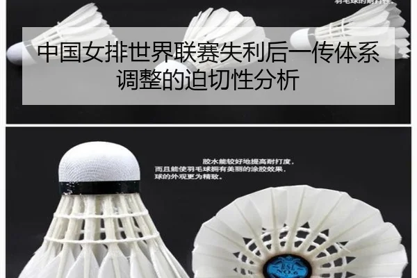 zhong-guo-nv-pai-shi-jie-lian-sai-shi-li-hou-yi-chuan-ti-xi-tiao-zheng-de-po-qie-xing-fen-xi-2-744.jpg