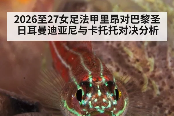 2026至27女足法甲里昂对巴黎圣日耳曼迪亚尼与卡托托对决分析